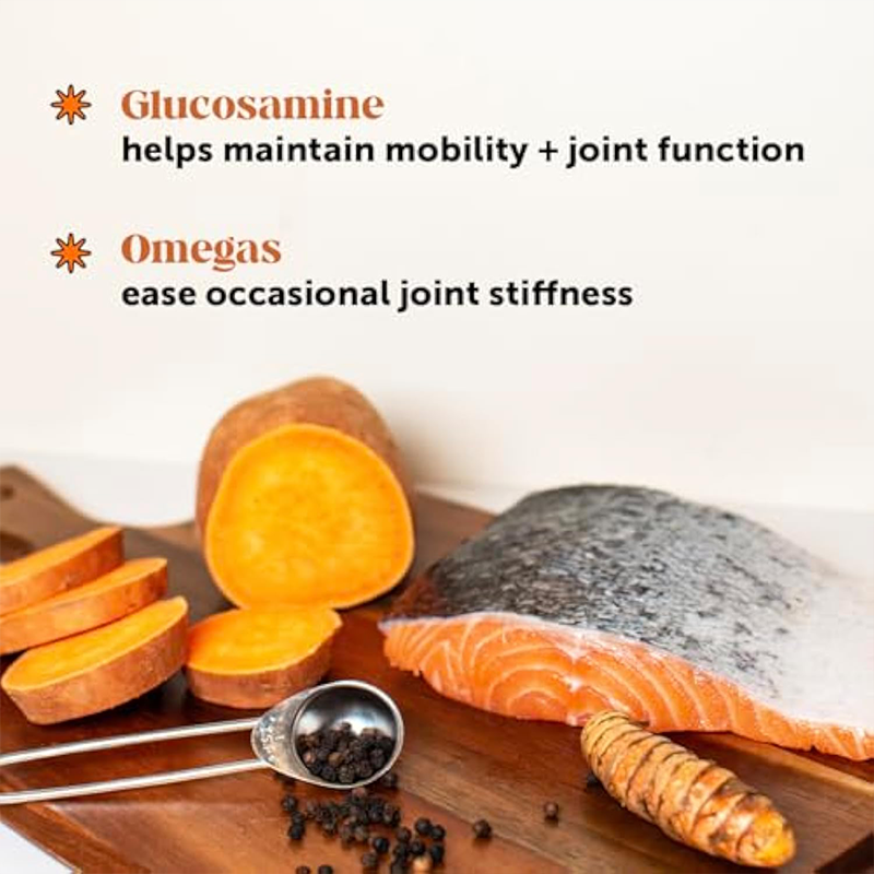 Pet Joint Supplement Supplier - Glucosamine Chondroitin MSM Mobility Support