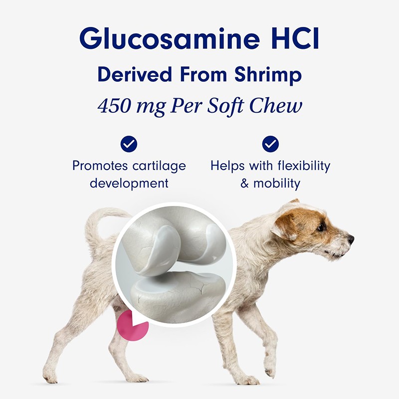 Pet Joint Supplement Manufacturer - AONAI Private Label Hip Joint Muscle Gain