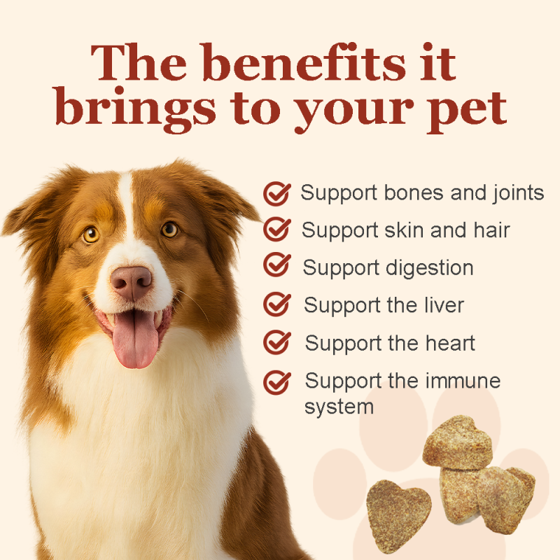 Pet Fish Oil Supplement Supplier - Omega 3 Alaskan Salmon Oil Chew Treats