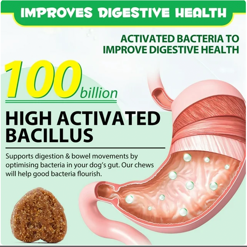 Dog Probiotic Chews Factory - with Digestive Enzymes Gut Flora Health