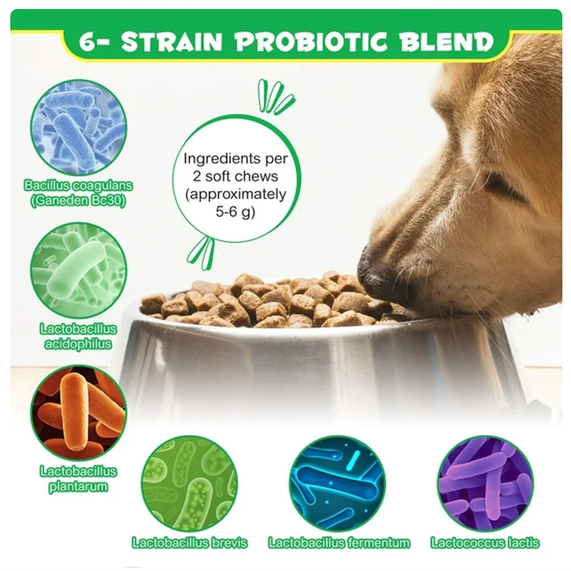 Dog Probiotic Chews Factory - with Digestive Enzymes Gut Flora Health
