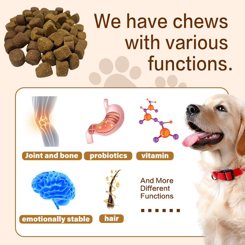 Pet Supplement Chew Manufacturer - Multivitamin Probiotics Hip Joint Salmon Oil
