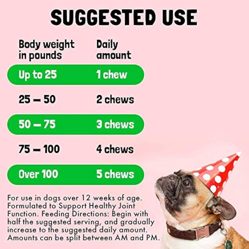 Pet Joint Supplement Supplier - Glucosamine Chondroitin MSM Mobility Support