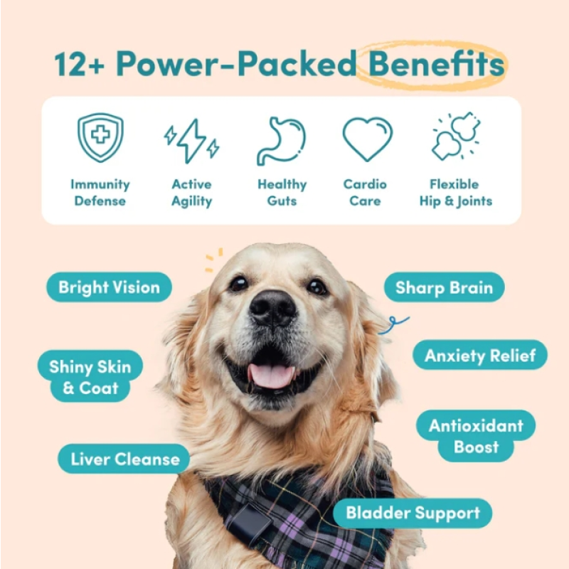 Pet Supplement Chews Manufacturer - Kalbconzo 25-in-1 Chicken Flavor Vitamin