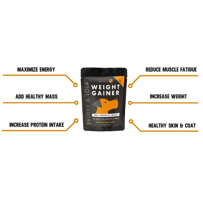 Pet Muscle Supplement Supplier - Private Logo High Protein Powder Muscle Gain