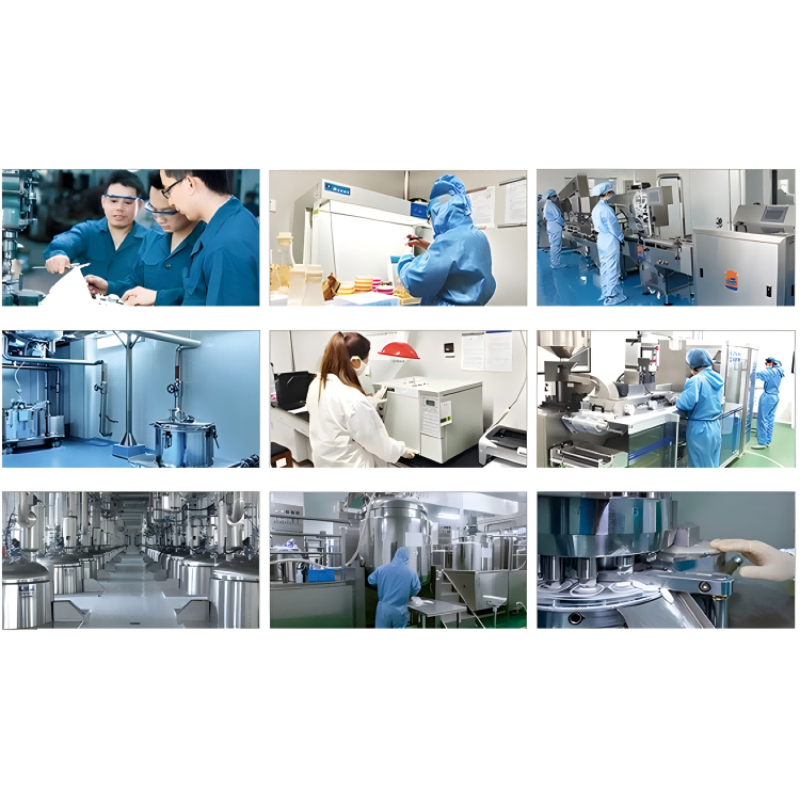 Pet Probiotic Chews Manufacturer - OEM Hot Sales Customized Shape Digestive Health