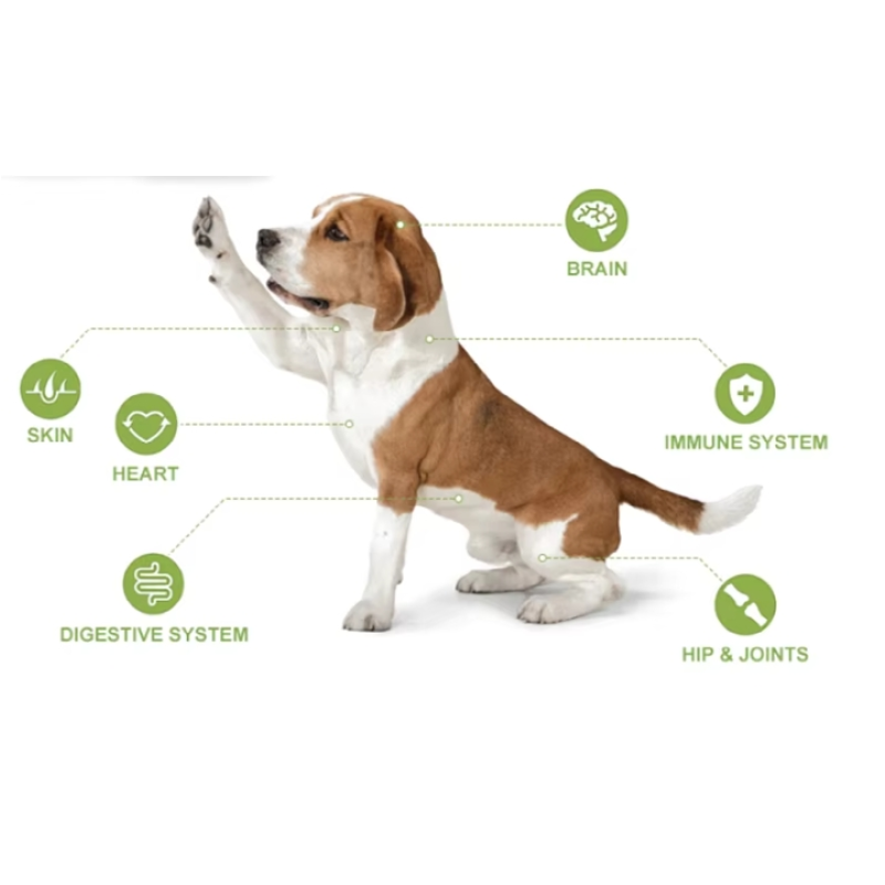 Animal Liquid Vitamin Supplier - 15 in 1 Multivitamin Drops Skin Fur Heart