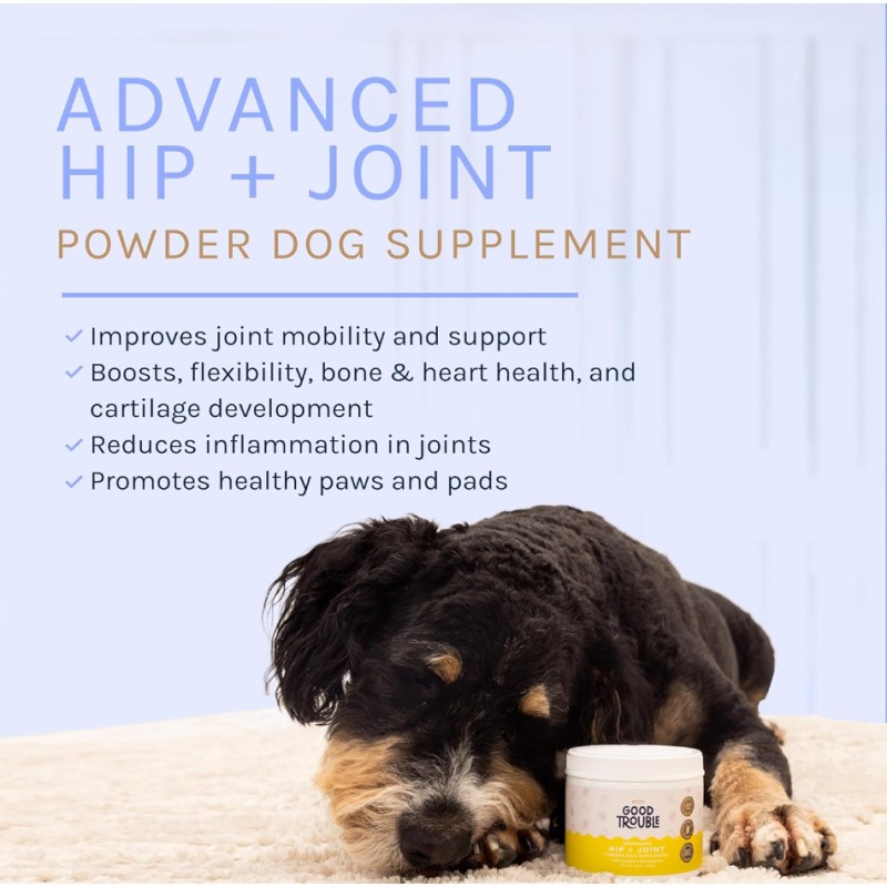 Dog Joint Supplement Supplier - Pain Relief Vitamins Arthritis Glucosamine