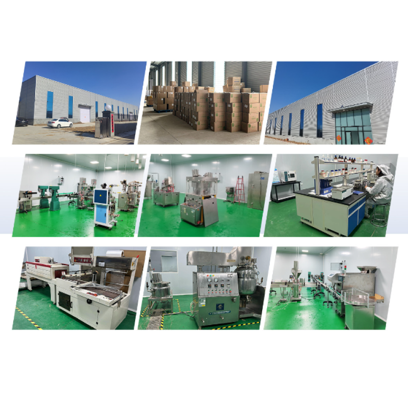 Dog Allergy Chews Factory - AONAI Itchy Skin Relief Immune Health Soft Treats