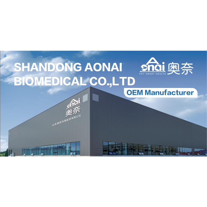 Pet Probiotic Chews Manufacturer - OEM Hot Sales Customized Shape Digestive Health