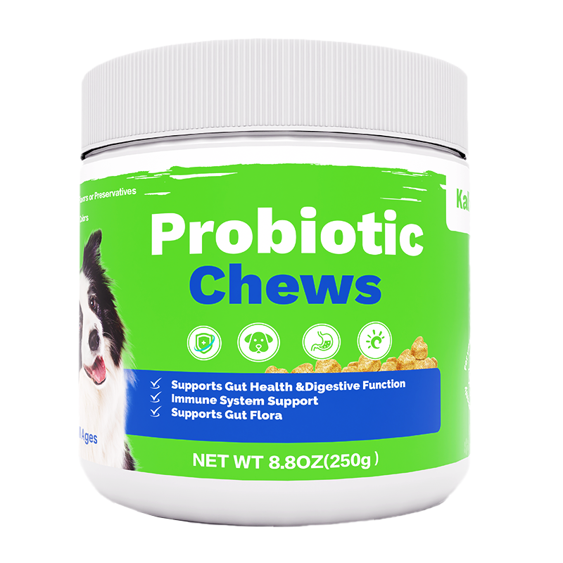 Pet Probiotic Chews Manufacturer - OEM Hot Sales Customized Shape Digestive Health