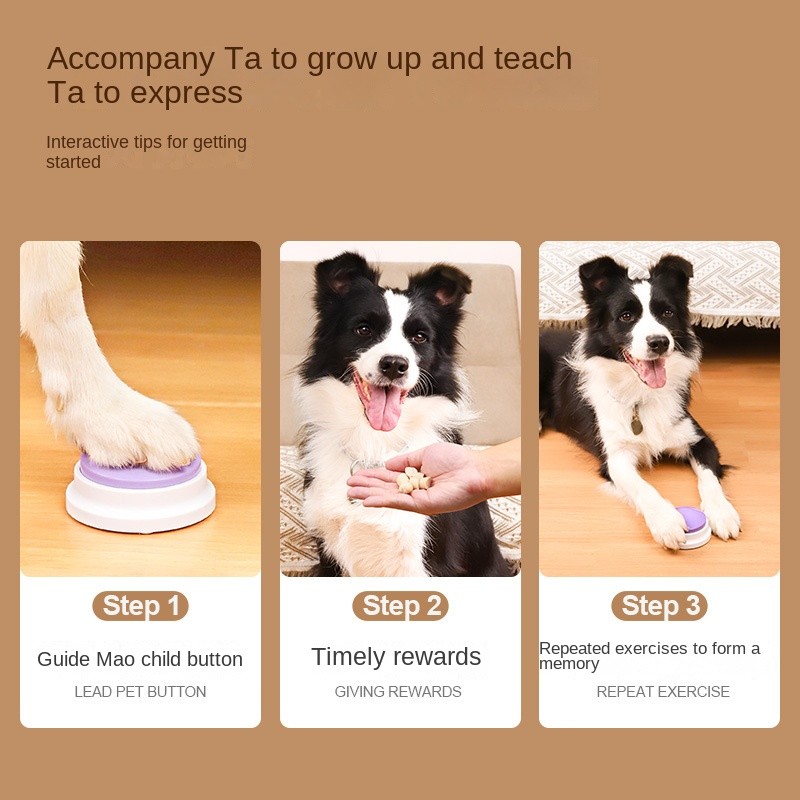 Pet Training Button Manufacturer - Interactive Plastic Voice with Recording