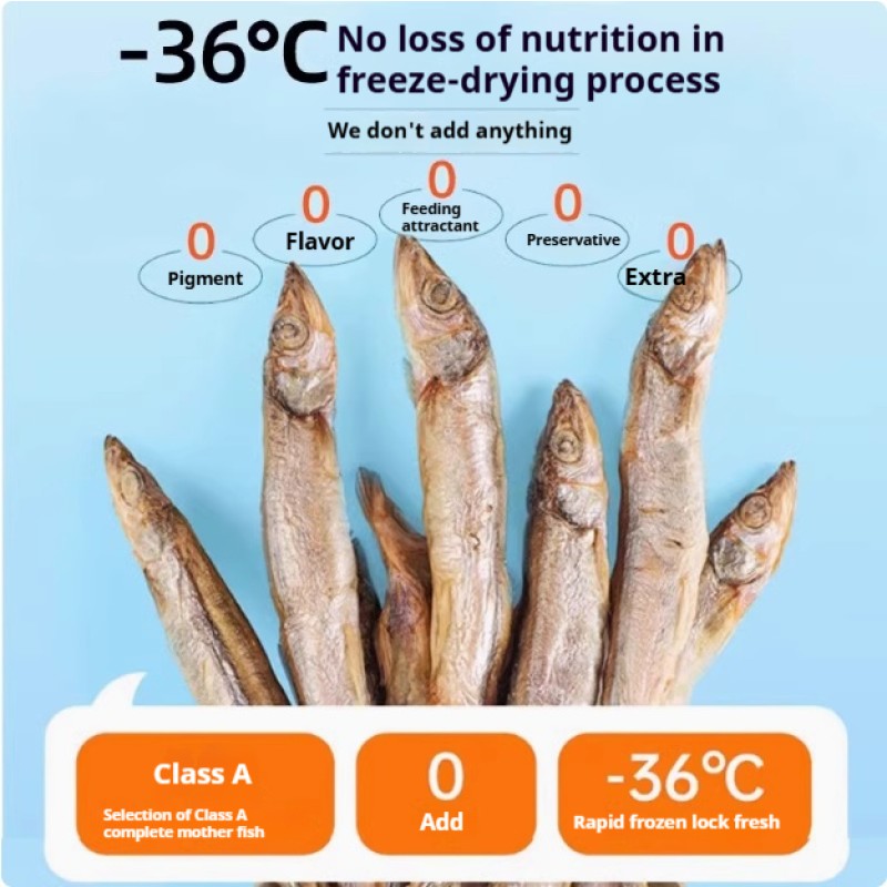 Cat Snacks Supplier - OEM/ODM Freeze-dried Capelin Fish Calcium Rich