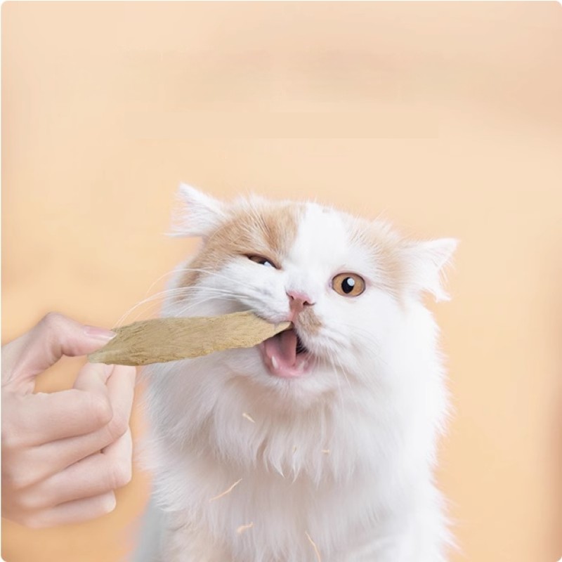 Pet Snack Manufacturer - OEM/ODM Freeze-Dried Duck Chest Relieving Tear Stains