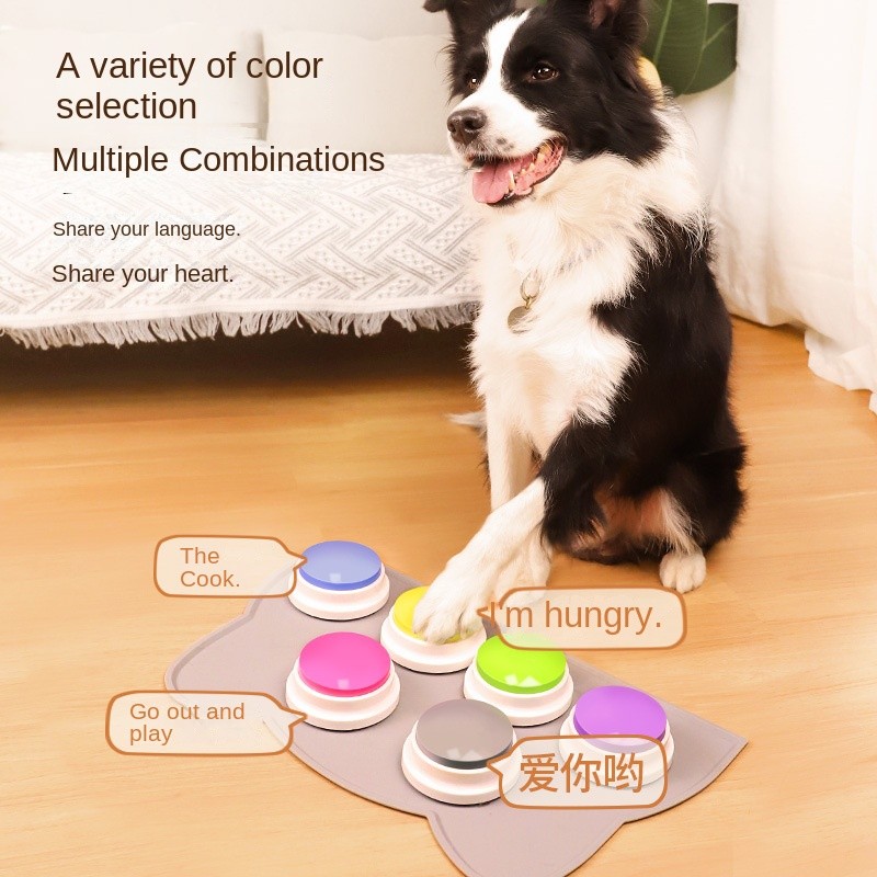 Pet Training Button Manufacturer - Interactive Plastic Voice with Recording