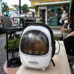 Cat Backpack Supplier - Large Space Bubble Shaded Ergonomic 3D Design