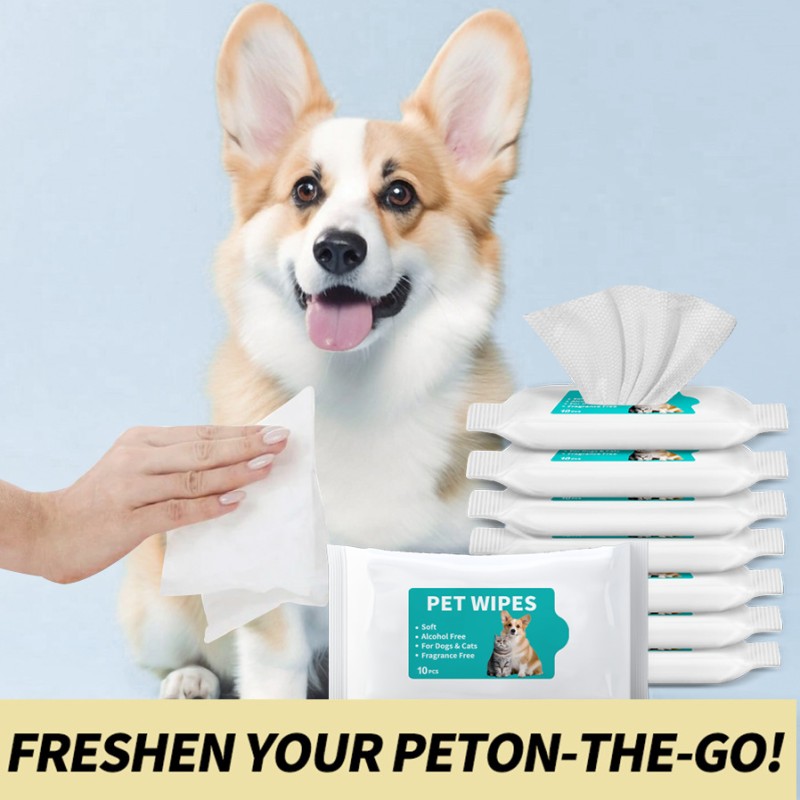Pet Hygienic Wipes Factory - Disposable Wash-free Protection Eco-friendly