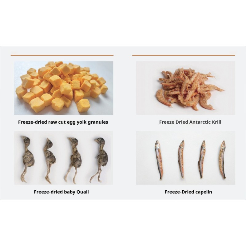 Freeze-Dried Pet Food Supplier - OEM/ODM Chicken Liver Granules Nourishing