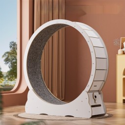 Cat Treadmill Factory - Eco-Friendly High Fiber Colorful Mute Fitness Wheel