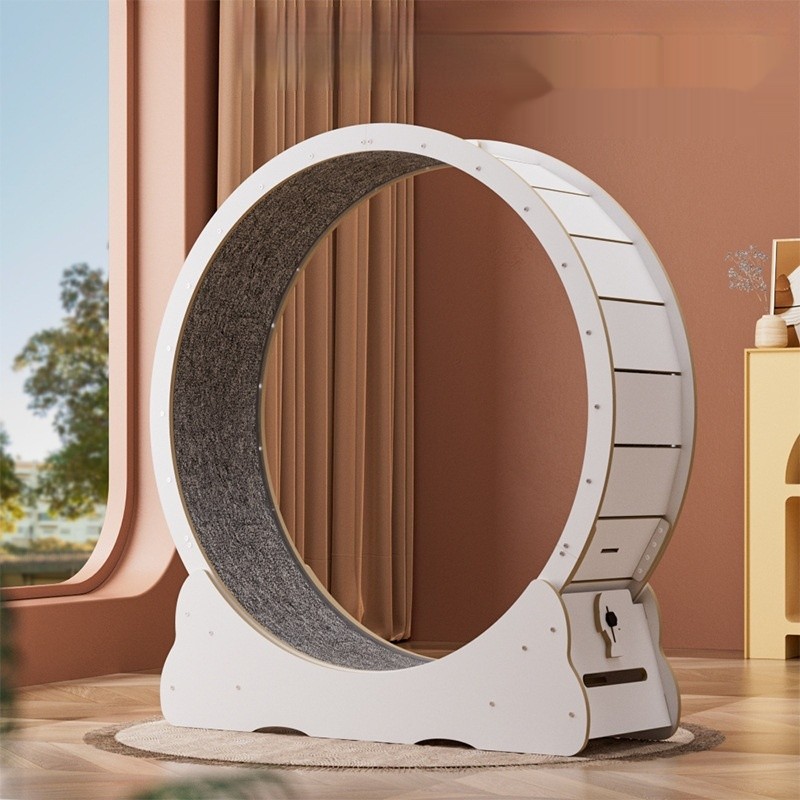 Cat Treadmill Factory - Eco-Friendly High Fiber Colorful Mute Fitness Wheel