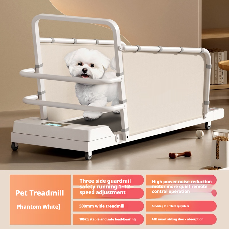 Pet Treadmill Supplier - Small Medium Eco-Friendly Interactive Walking Machine
