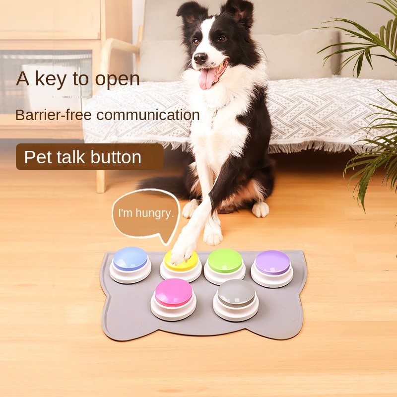 Pet Training Button Manufacturer - Interactive Plastic Voice with Recording