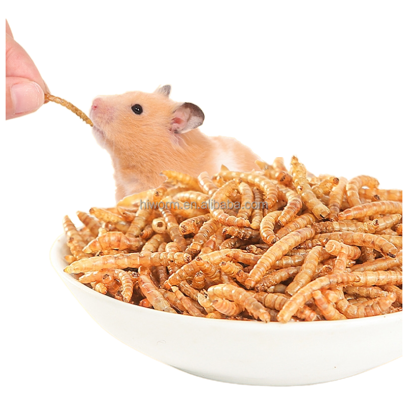 Pet Food Mealworms Supplier - OEM High Protein Larva Deshidratada