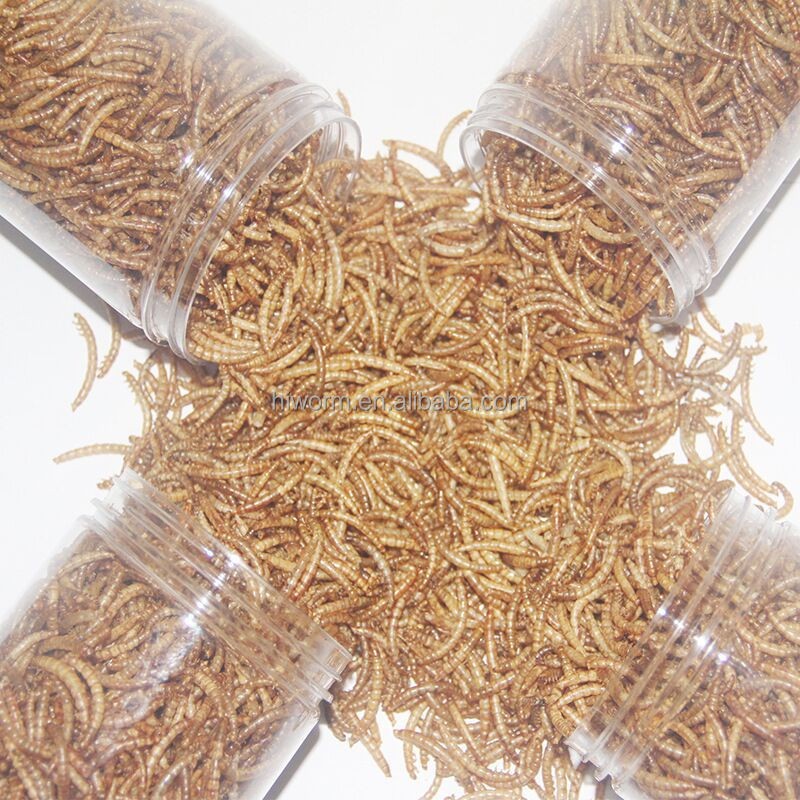 Meal Worms for Animal Feed Supplier - 100% Natural Non-gmo Bulk