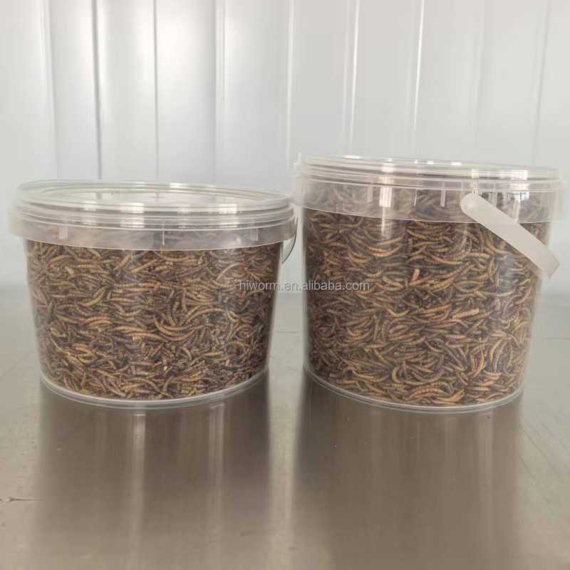 Dried Mealworms Packaging Factory - Customized Bucket 1kg Protein