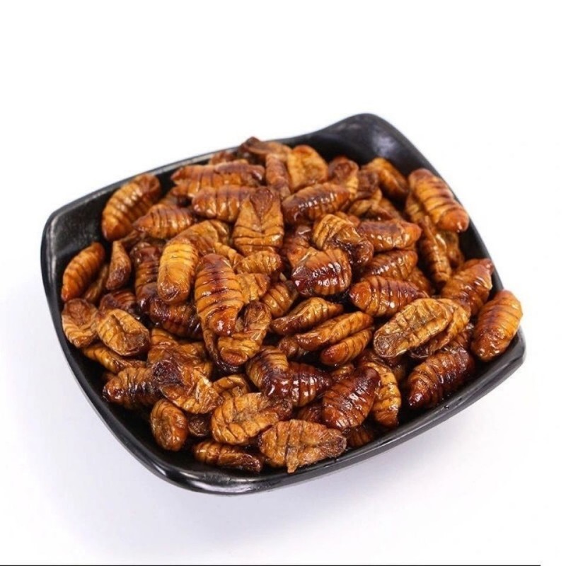 Silkworm Pupae for Koi Supplier - Guaranteed Quality Bird Feed