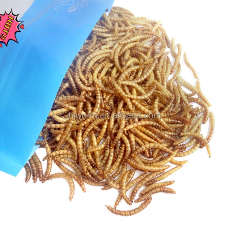 Mealworm Snack Factory - Wholesale Premium Natural Pet Food