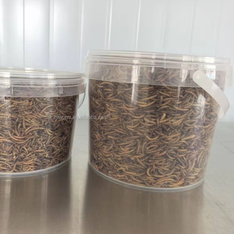 Meal Worms for Animal Feed Supplier - 100% Natural Non-gmo Bulk