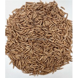 Dried BSF Larvae Manufacturer - Wholesale 5lb Additive-free
