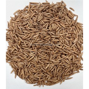 Dried BSF Larvae Manufacturer - Wholesale 5lb Additive-free