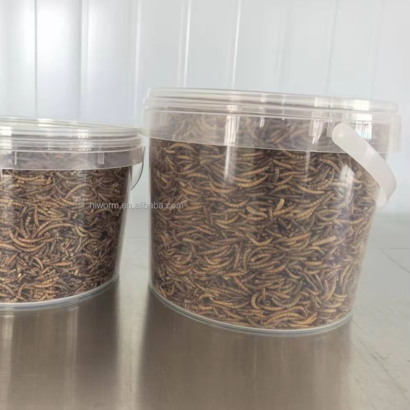 Dried Mealworms Packaging Factory - Customized Bucket 1kg Protein