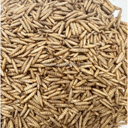 Microwave Dry Calci Worm Factory - Wholesale Natural Pet Food