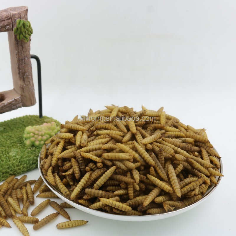 Calciworm Supplier - High Calcium Impurity-free Private Label