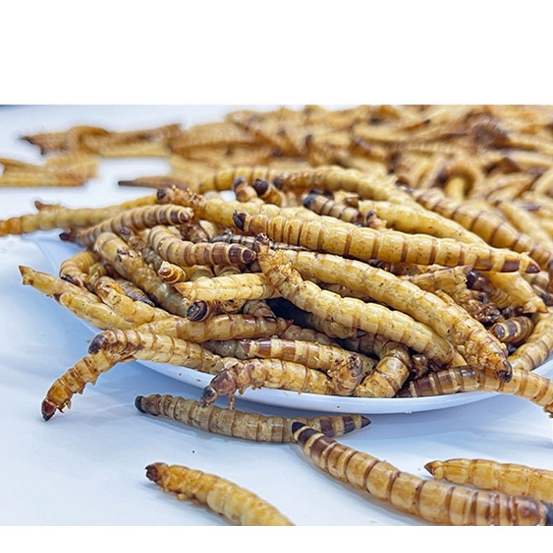 Dried Superworm Product Supplier - Factory Wholesale Healthy