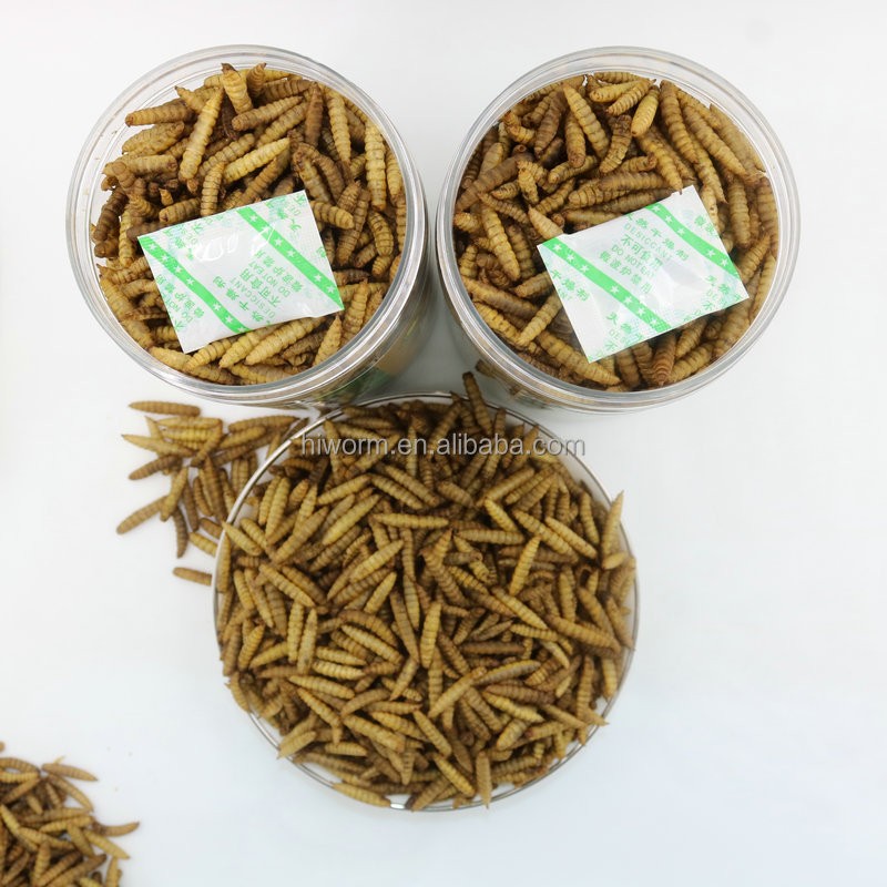 BSF Larva Dry Food Factory - Wholesale 1kg High Calci