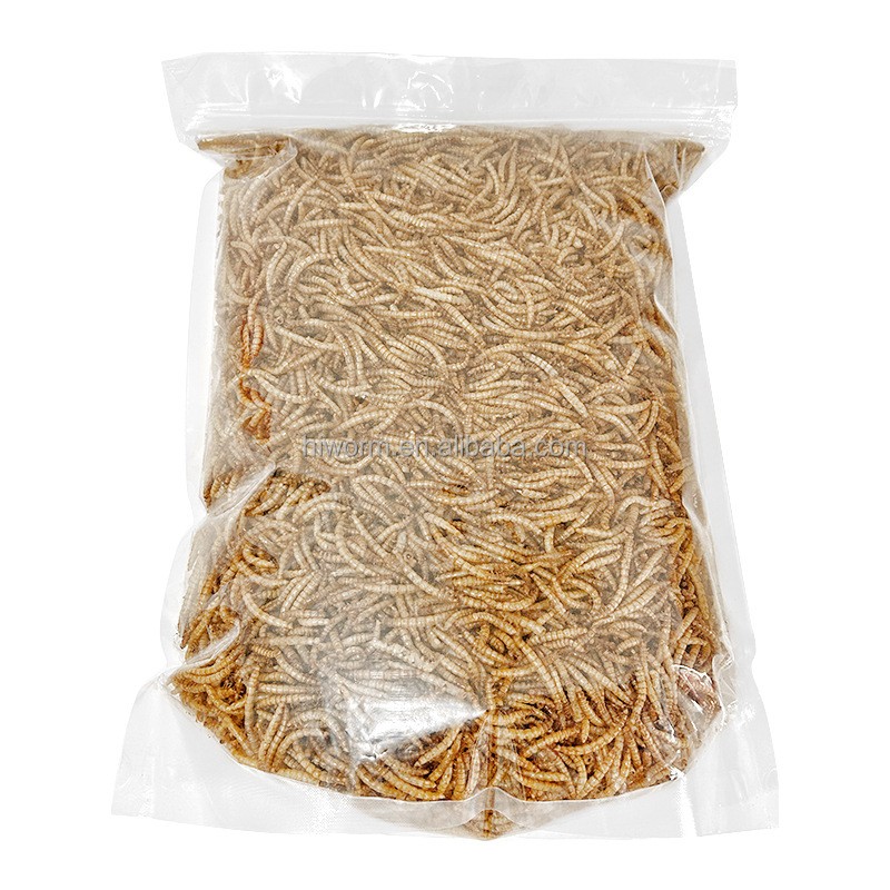 Wild Bird Mealworms Supplier - Private Label Dried for Chickens