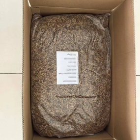 Dried Mealworm Supplier - Wholesale High Protein 5KG Bird Food