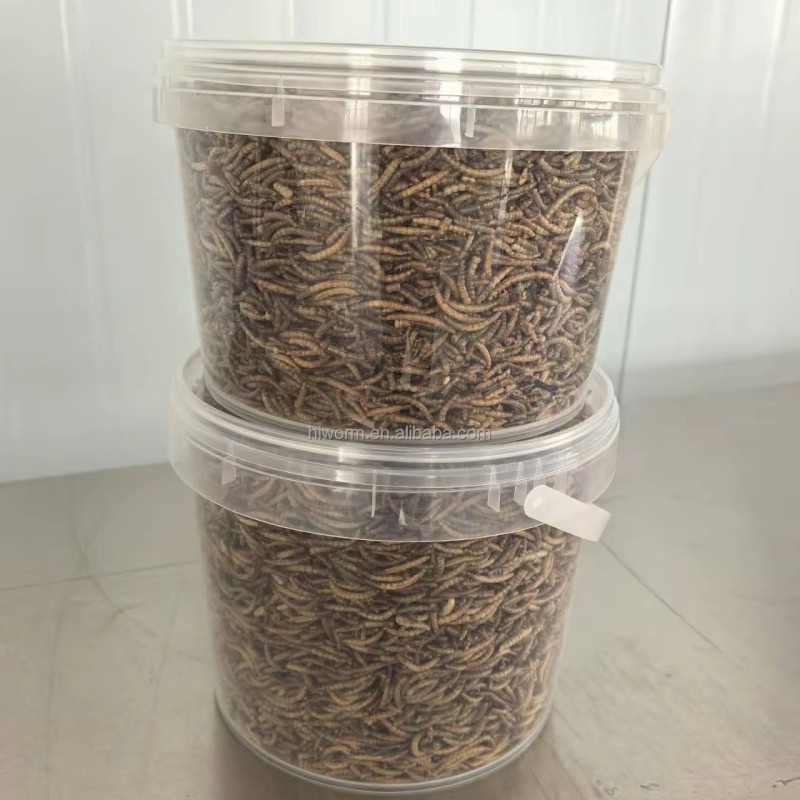 Dried Mealworms Packaging Factory - Customized Bucket 1kg Protein