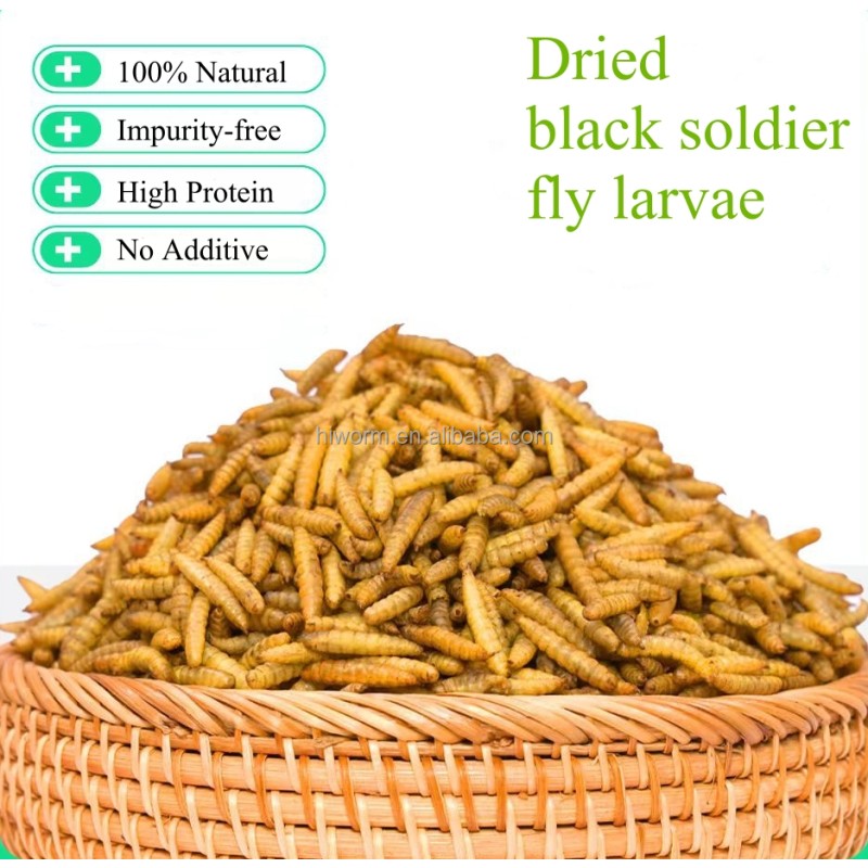 BSF Chitin Larvae Manufacturer - 100% Natural Additive-free