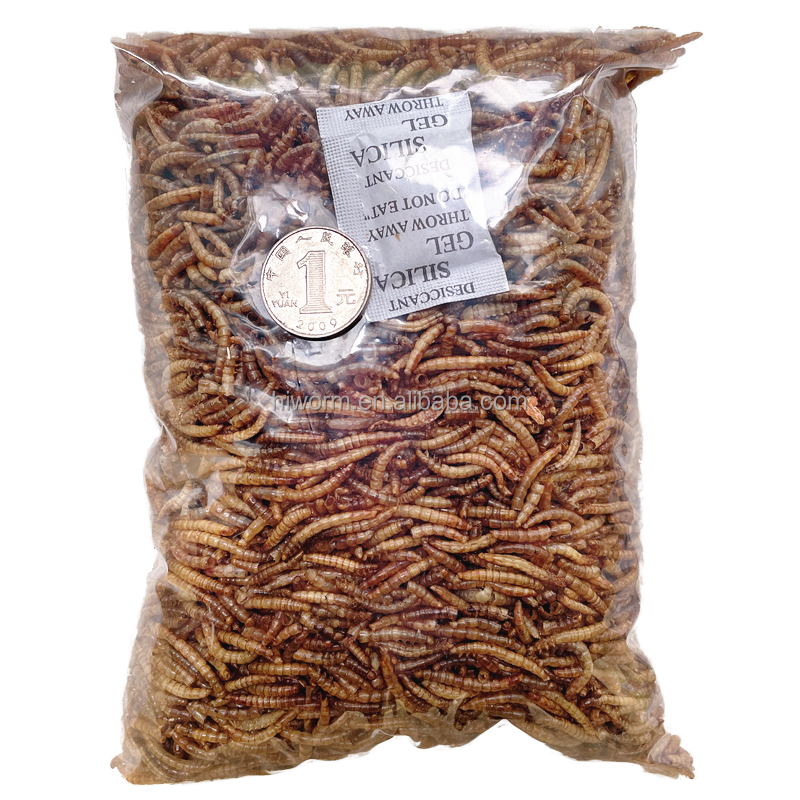 Wild Bird Food Mealworms Factory - 100% Natural Breeding Farm