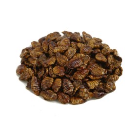 Silkworm Pupa Poultry Feed Manufacturer - Wholesale Fine Quality