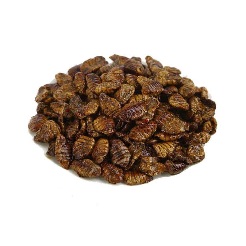 Silkworm Pupa Poultry Feed Manufacturer - Wholesale Fine Quality