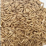 Dried Black Soldier Fly Larvae