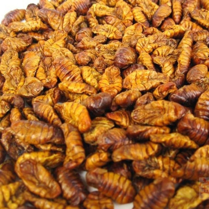 Silkworm Pupa Manufacturer - Rich Nutritious High Protein