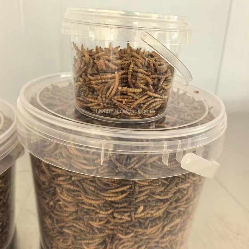 Dried Mealworms Packaging Factory - Customized Bucket 1kg Protein