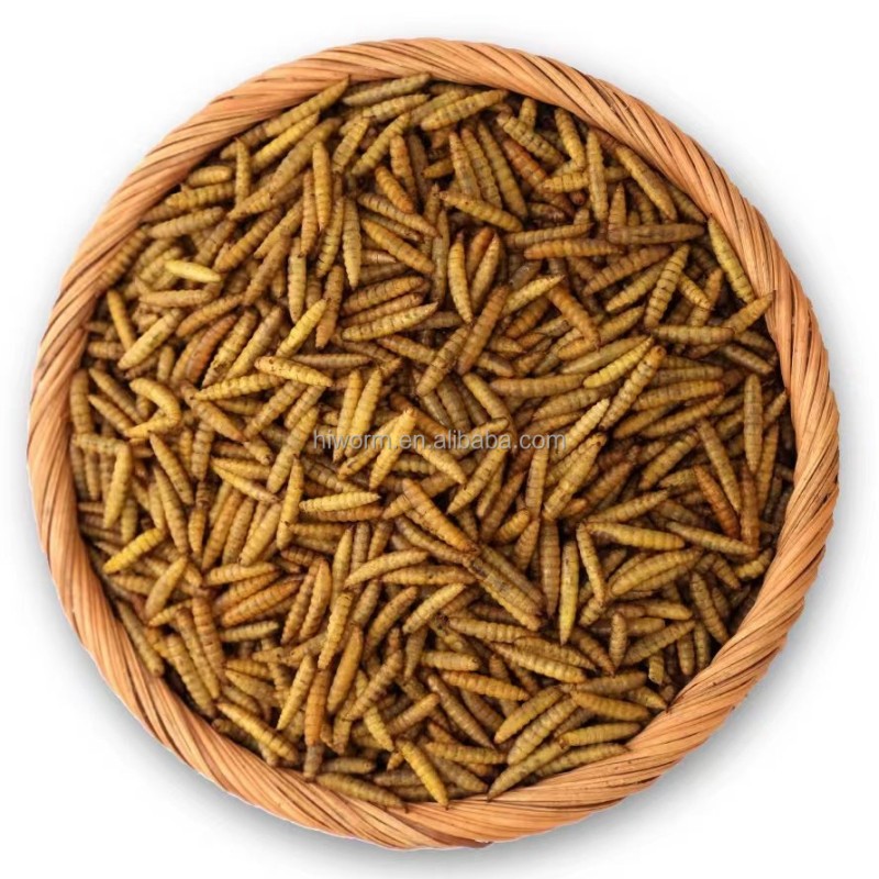 Microwave Dry Calci Worm Factory - Wholesale Natural Pet Food